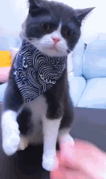 거절하기엔 너무 많은 먹이였다 | 인스티즈