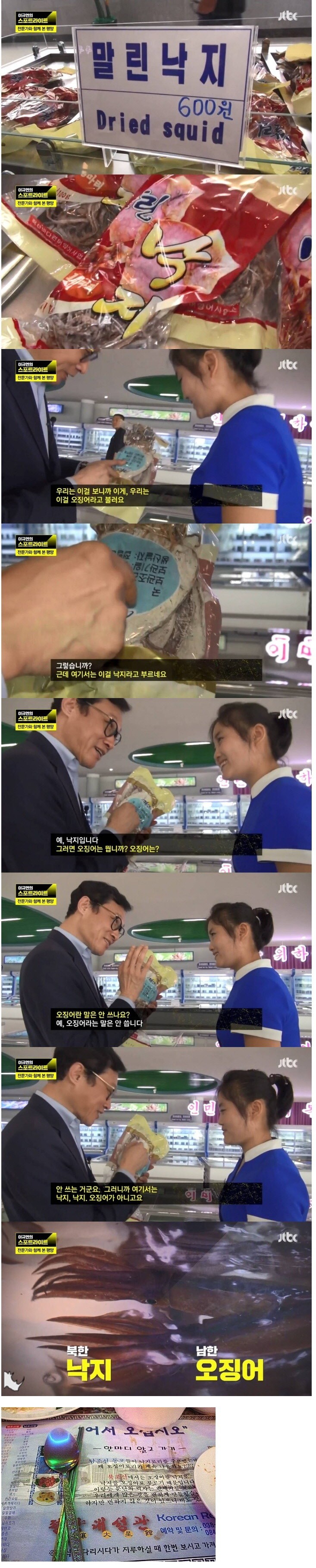 우리가 아는 오징어를 오징어라고 부르지 않는 북한 | 인스티즈