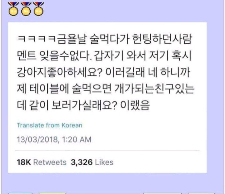 혹시 강아지 좋아하세요? | 인스티즈