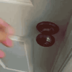 주인 반기는 댕댕이 | 인스티즈