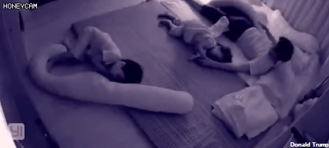 딸과 아들 이불 덮어주는 온도 차 | 인스티즈