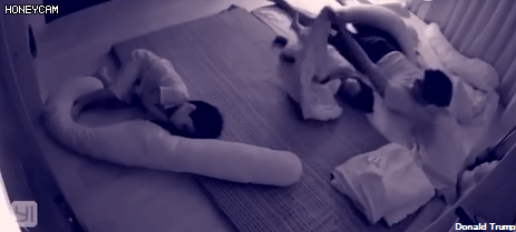 딸과 아들 이불 덮어주는 온도 차 | 인스티즈