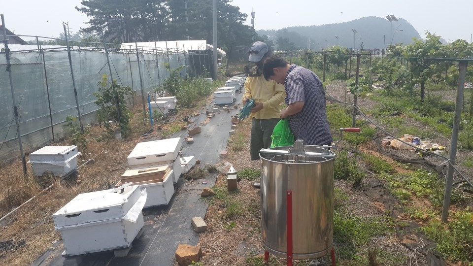 세상에서 제일 꿀알바는?? | 인스티즈