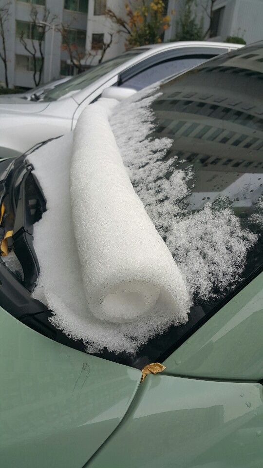 살면서 본 가장 신기한 눈 | 인스티즈