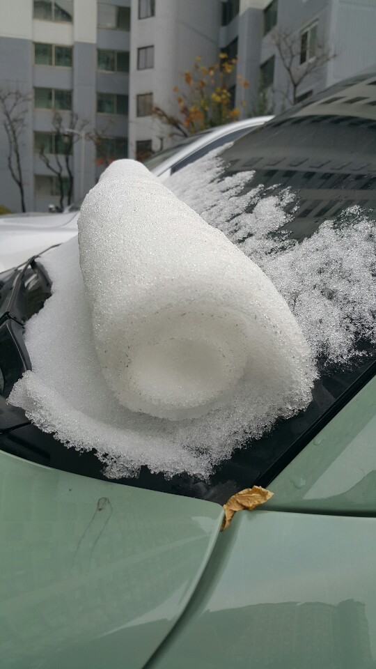 살면서 본 가장 신기한 눈 | 인스티즈