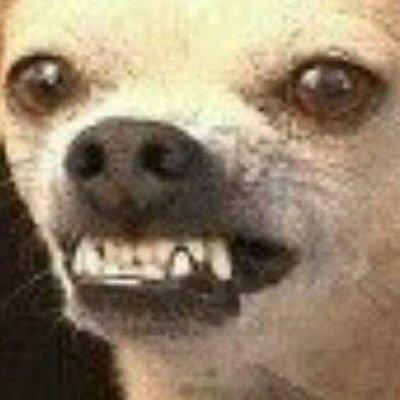 201905_1488518017.jpeg