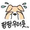 350980_1517209724.png