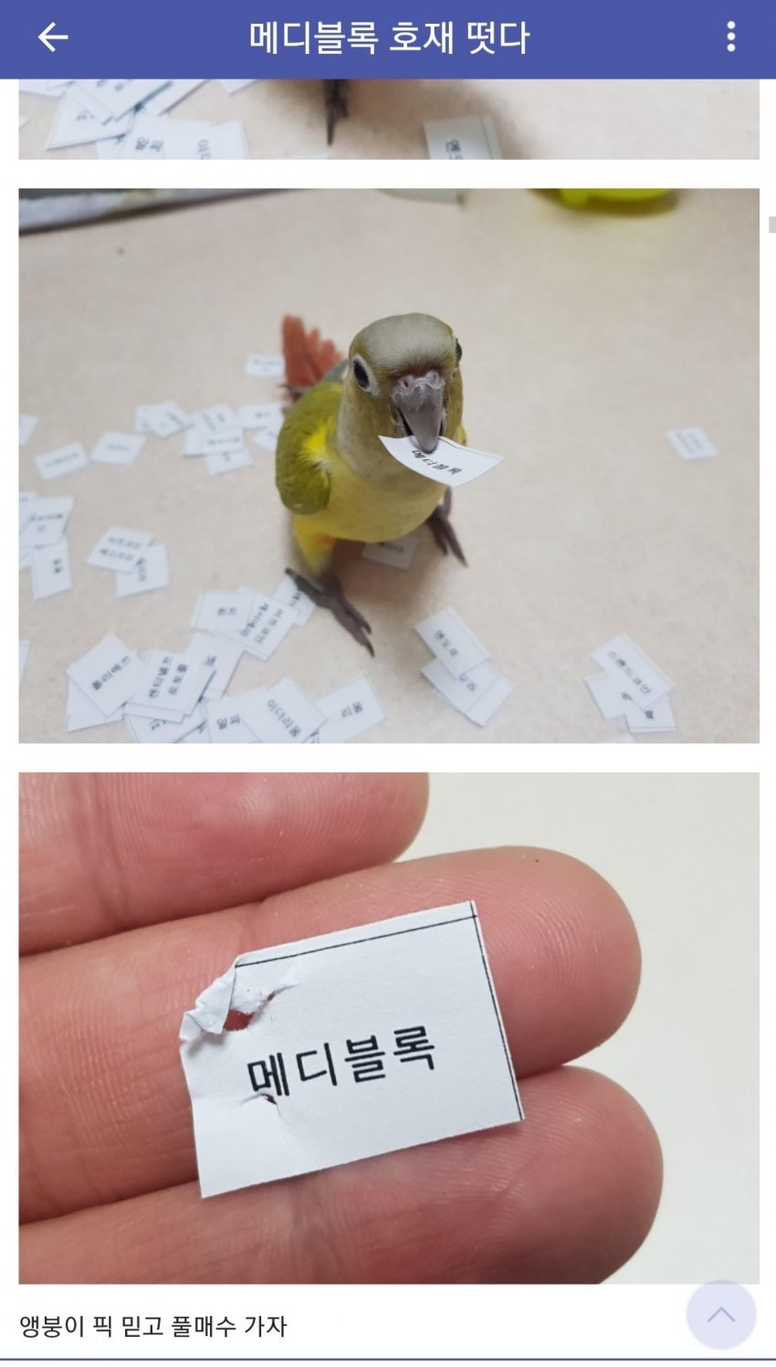 일반] 씹스캠알트를 웨사냐고? - 게임조선