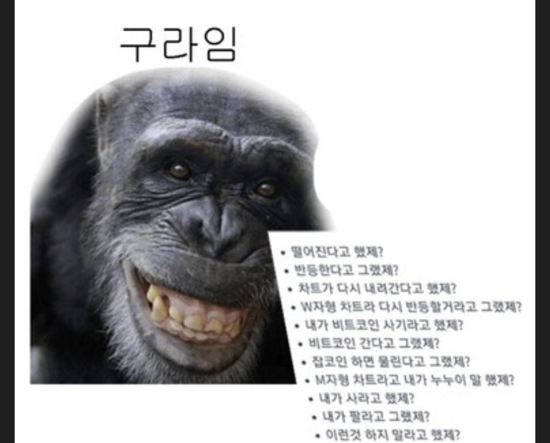 일반] 나선 반등떳다!!!!! - 게임조선