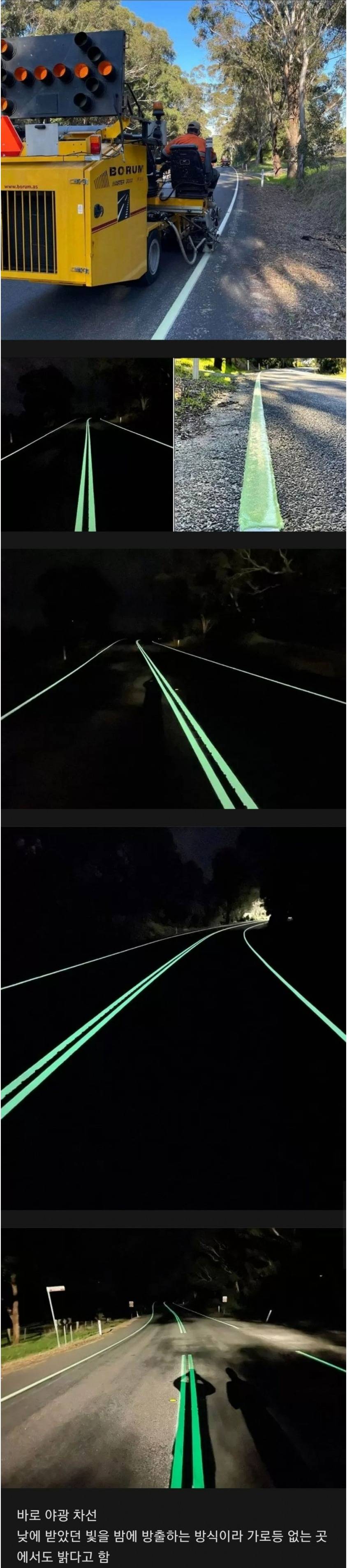 [유머] 호주에서 야간 교통사고를 줄이기 위해 도입한 것 -  와이드섬