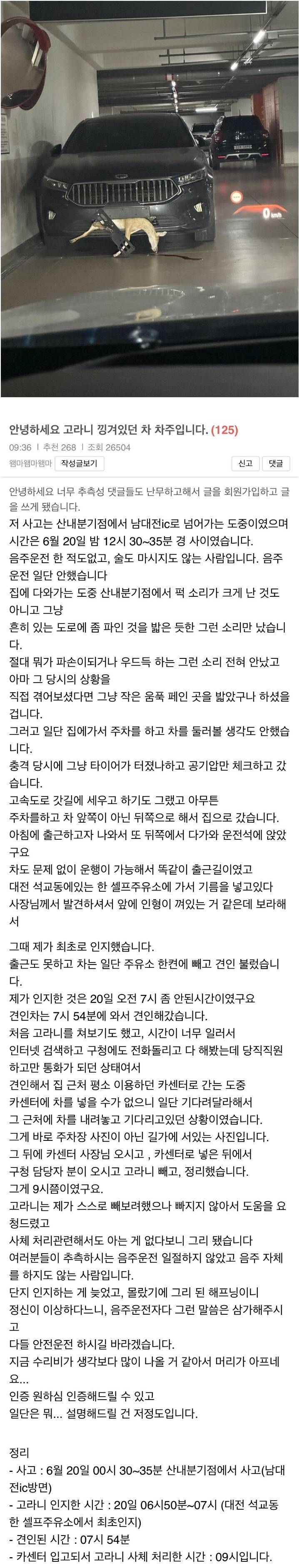 고라니 끼인채 달린 차주