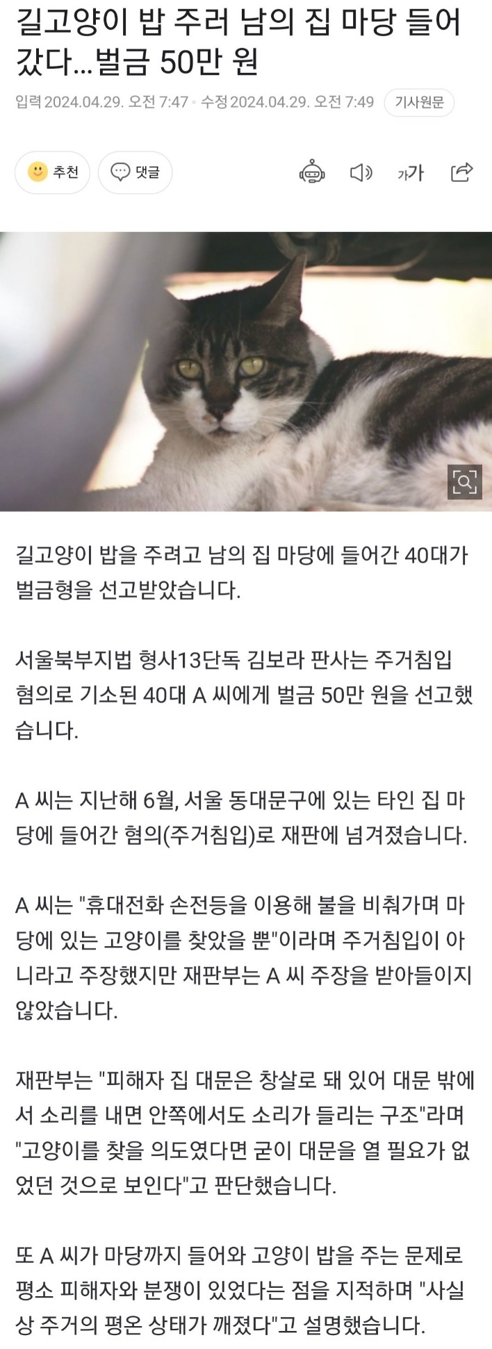 길고양이 밥 주러 남의 집 마당 들어갔다