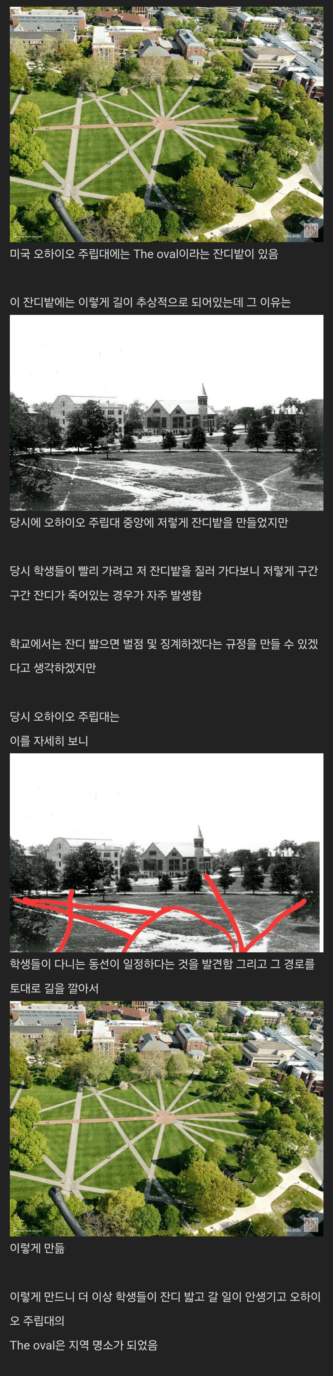 학생들이 잔디밭을 밟자 학교에서 취한 조치