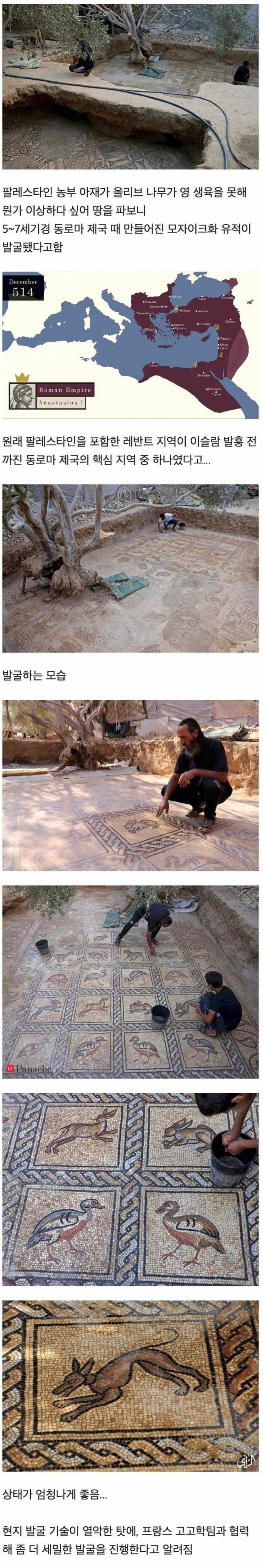 나무가 시들거리는 게 이상해서 땅을 파보니