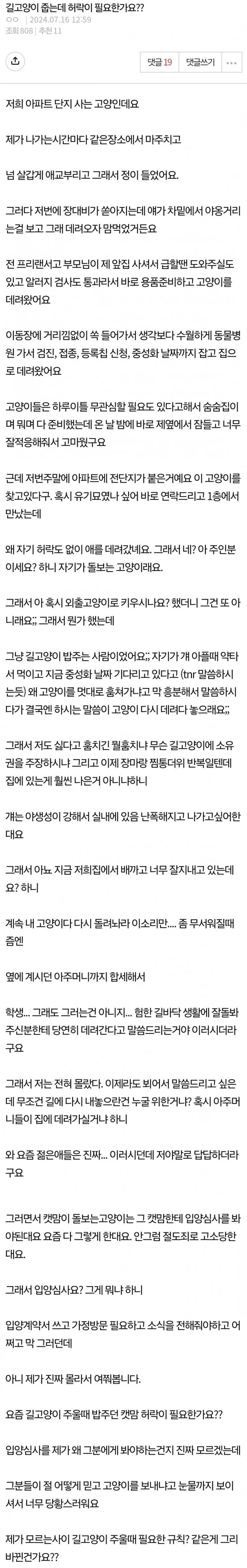 길고양이 줍는데도 허락이 필요한가요?