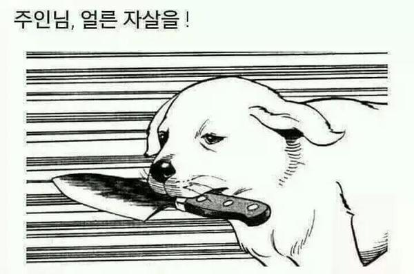 던전앤파이터 게임조선