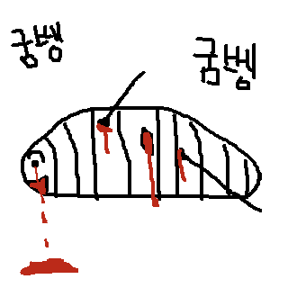404490_1649037067.png