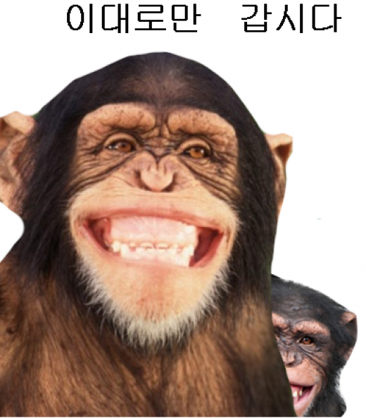 던전앤파이터 게임조선