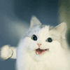 348931_1714869826.png