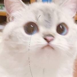 968219_1714898733.jpg