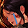 421078_1747149453.png